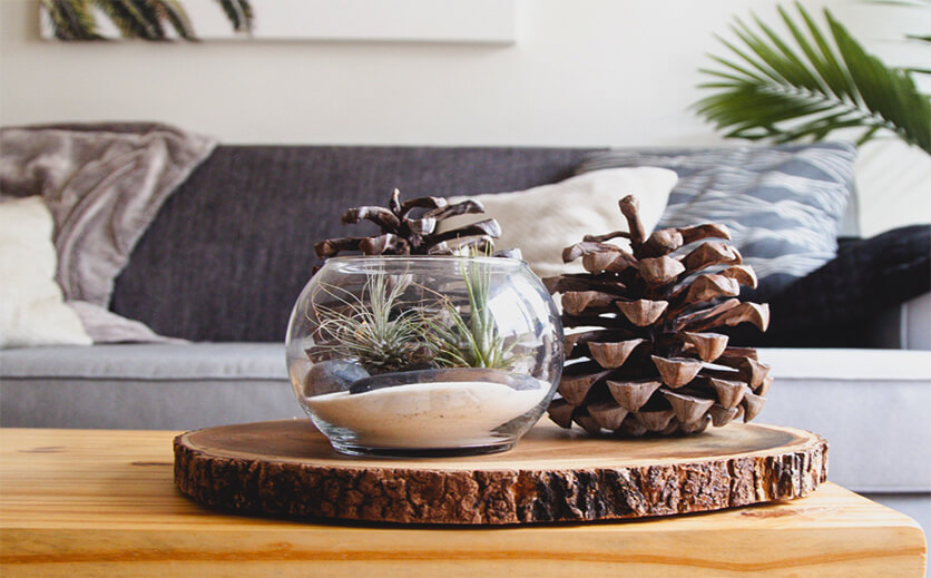 homepage lifestyle image